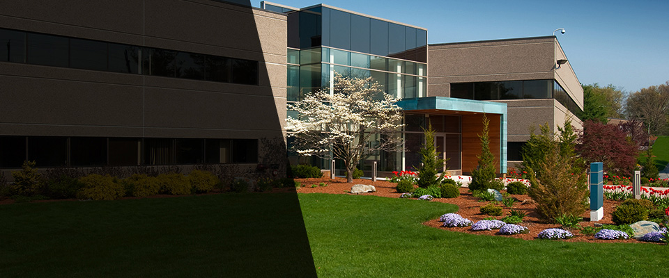 Fort Huachuca Landscapers