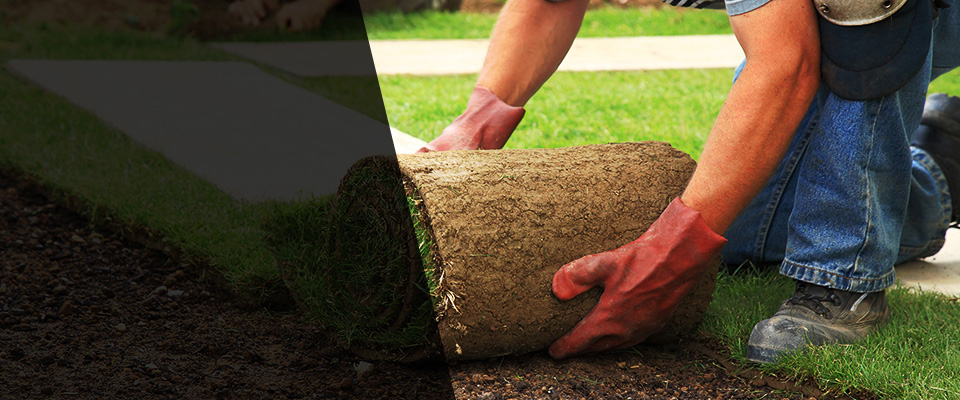 Fort Huachuca Landscapers